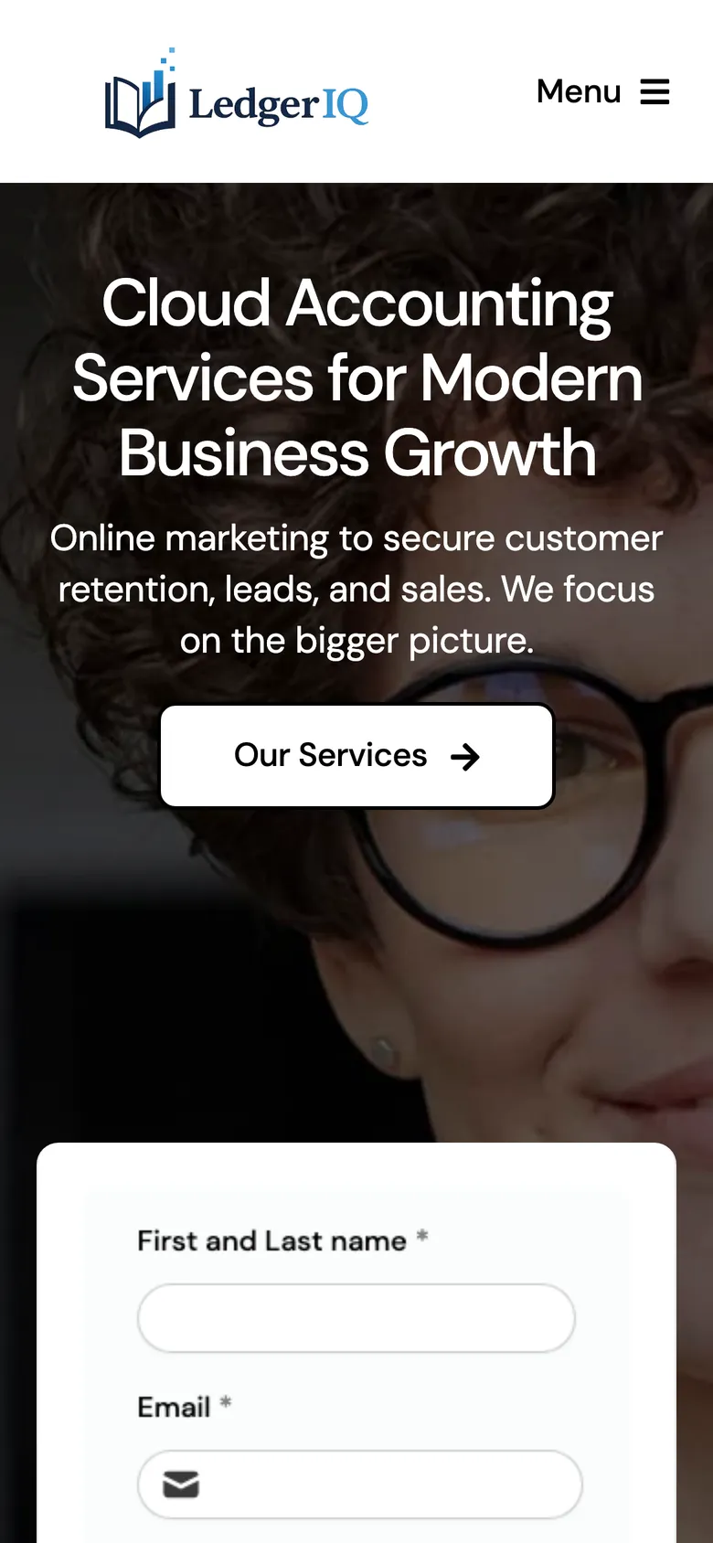 The Ledger IQ website homepage